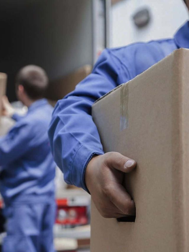 Local Movers Sarasota | Flat Fee Movers