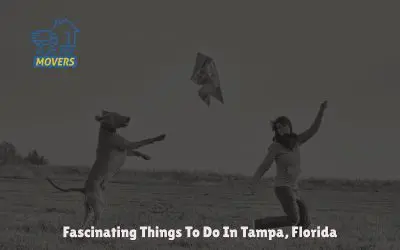 Fascinating Things To Do in Tampa, Florida